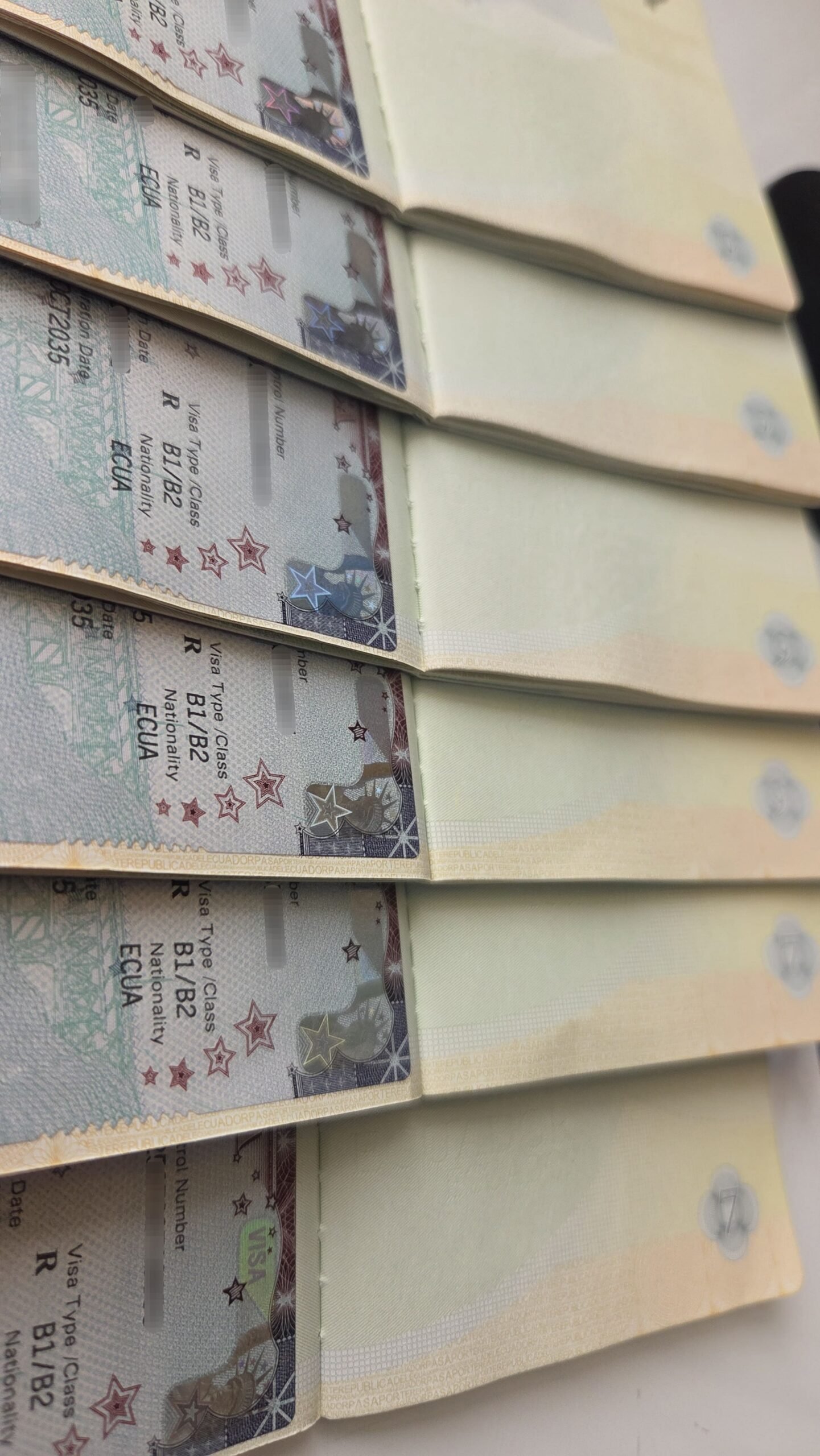 12 XPERT VISAS ECUADOR